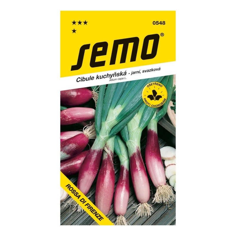 Osivo zeleniny - Cibule ROSSA DI FIRENZE červená