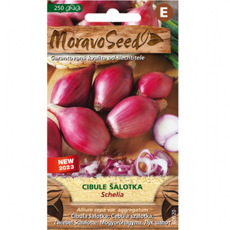 Osivo zeleniny - Cibule šalotka SCHELIA (MS)