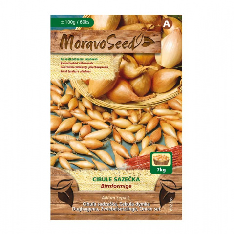 Osivo zeleniny - Cibule sazečka Birnformige (MS) 100g