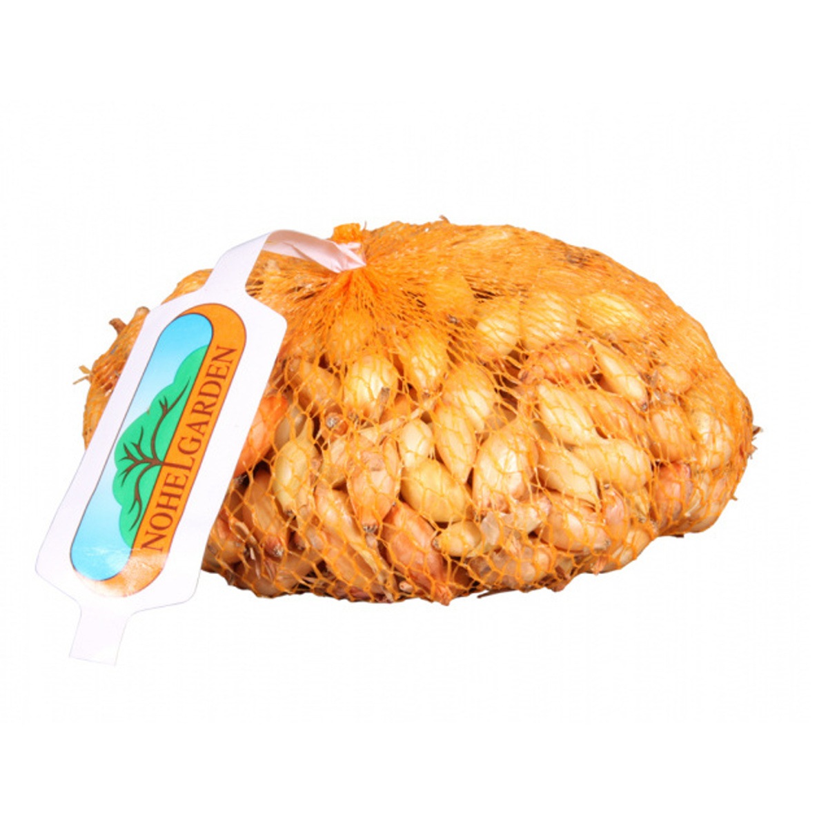 Sadba česneku a cibule - Cibule sazečka Corrado 500g