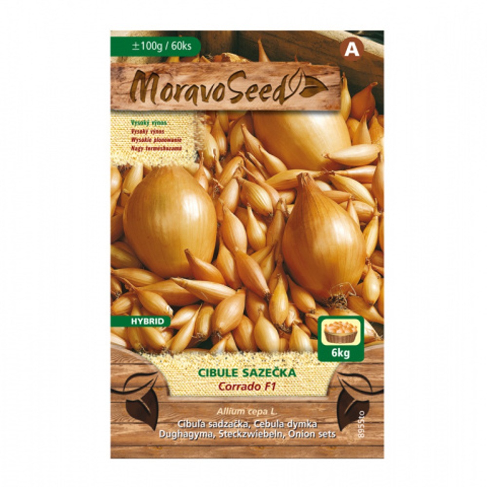 Cibule sazečka Corrado F1 (MS) 100g-0