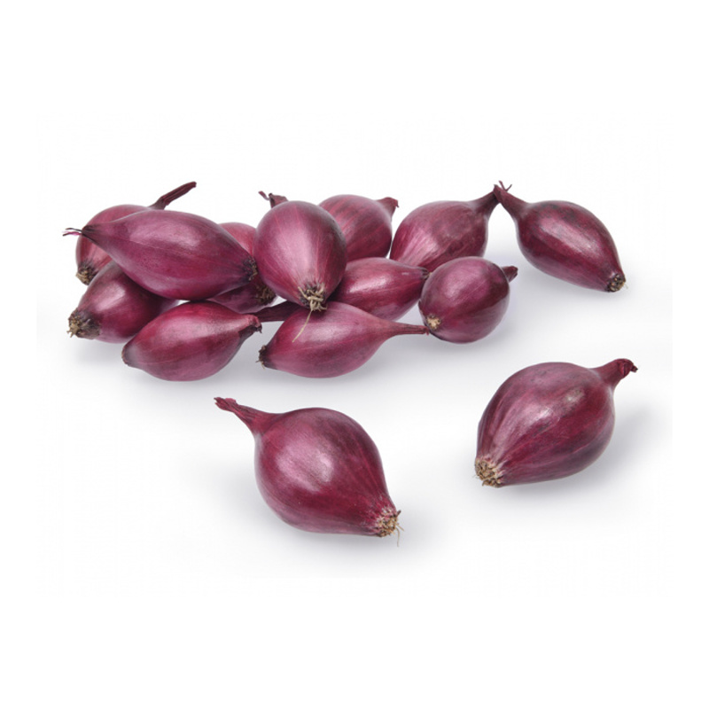 Sadba česneku a cibule - Cibule sazečka ozimá Akado červená 500g