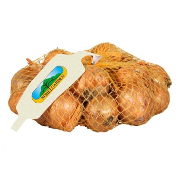 Sadba česneku a cibule - Cibule sazečka Red Sun 500g