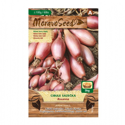 Osivo zeleniny - Cibule sazečka Rosanna (MS) 100g