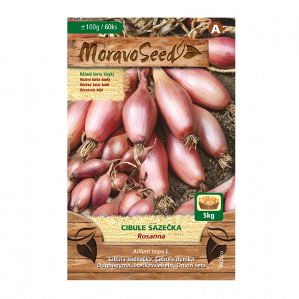 Cibule sazečka Rosanna (MS) 100g-0