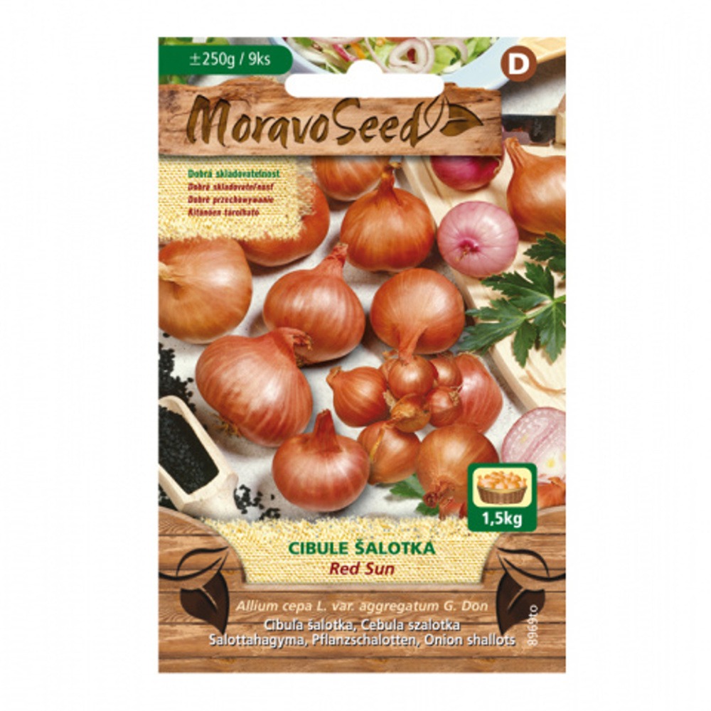 Cibule sazečka šalotka Red Sun (MS) 250g-0