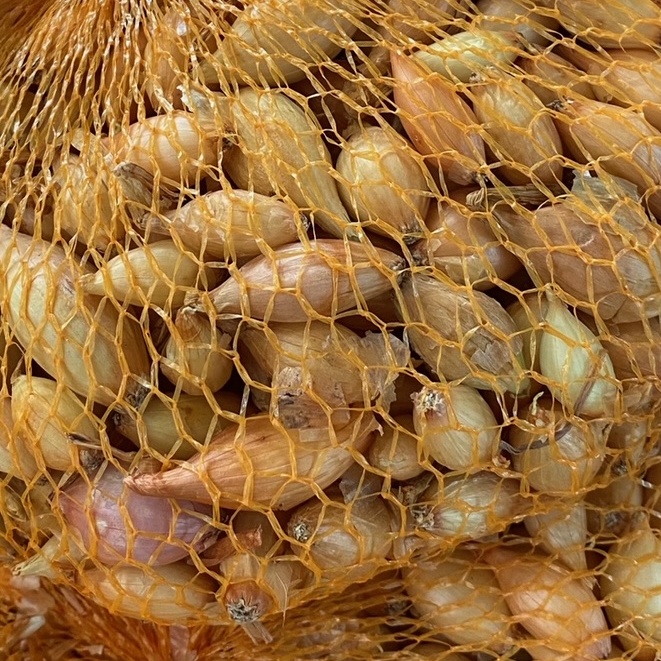 Sadba česneku a cibule - Cibule sazečka Sturon balení 500g