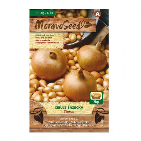 Osivo zeleniny - Cibule sazečka Sturon (MS) 100g