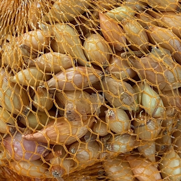 Sadba česneku a cibule - Cibule sazečka Štutgart balení 500g