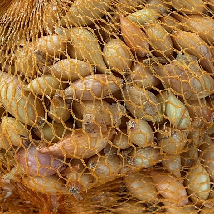 Sadba česneku a cibule - Cibule sazečka Všetana balení 500g