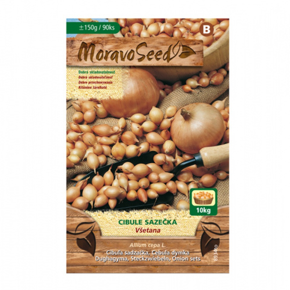 Osivo zeleniny - Cibule sazečka Všetana (MS) 150g