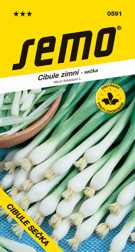 Osivo zeleniny - Cibule sečka Gerda zimní