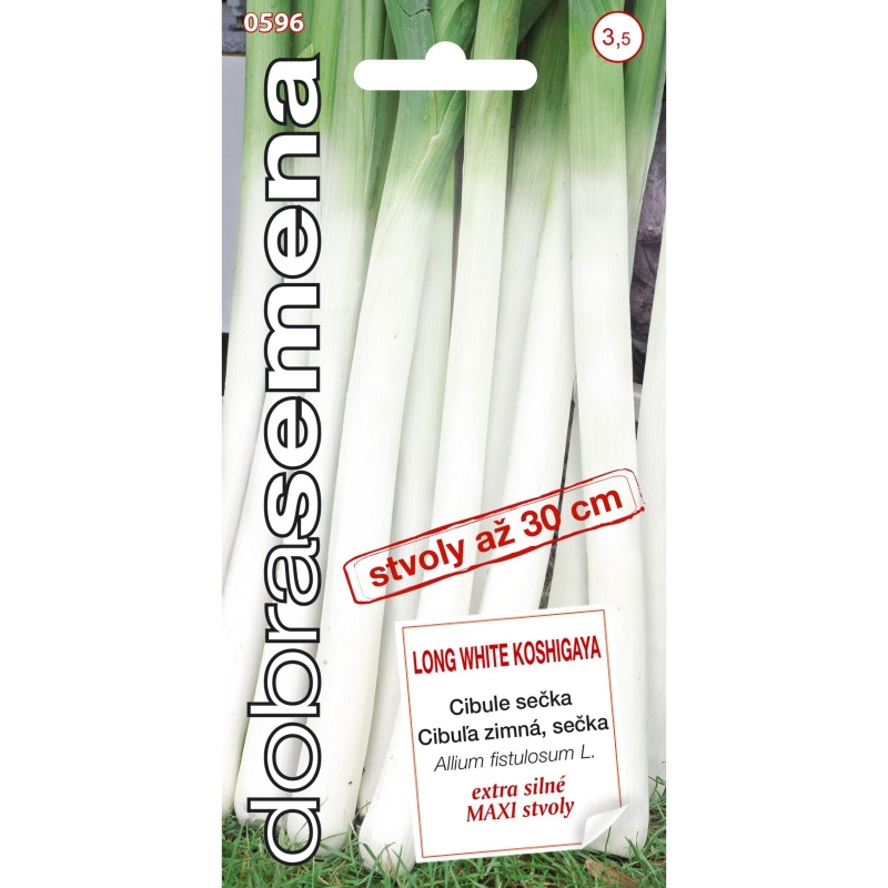 Osivo zeleniny - Cibule sečka LONG WHITE KOSHIGAYA (DS)