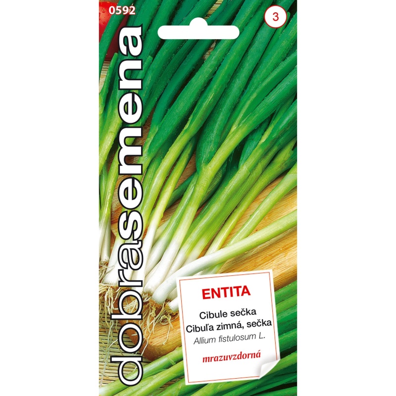 Osivo zeleniny - Cibule sečka zimní ENTITA (DS)