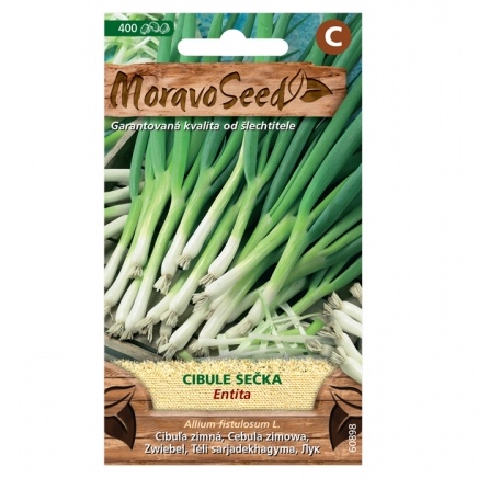 Osivo zeleniny - Cibule sečka zimní ENTITA (MS)