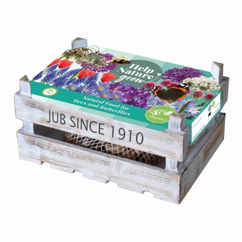 Cibuloviny - Cibuloviny směs pro včely a motýly 75ks bedýnka