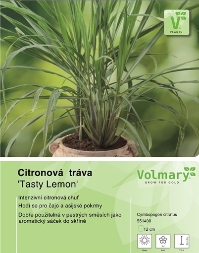 Citronová tráva 'Tasty Lemon' 12cm-0