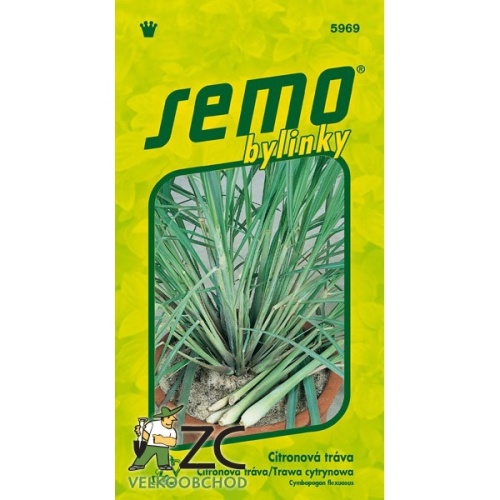Osivo bylinek - Citrónová tráva