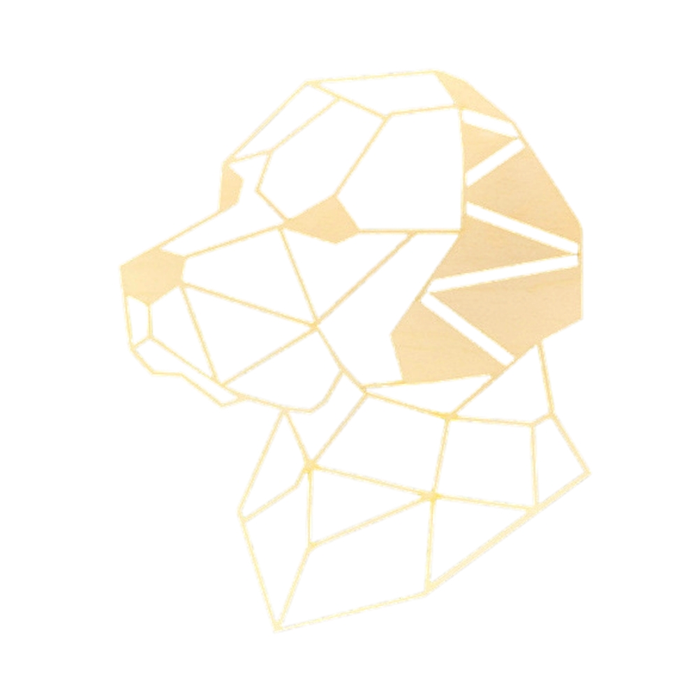 Dřevěné a proutěné dekorace - Dekorace na zeď dřevěná psí hlava 19cm