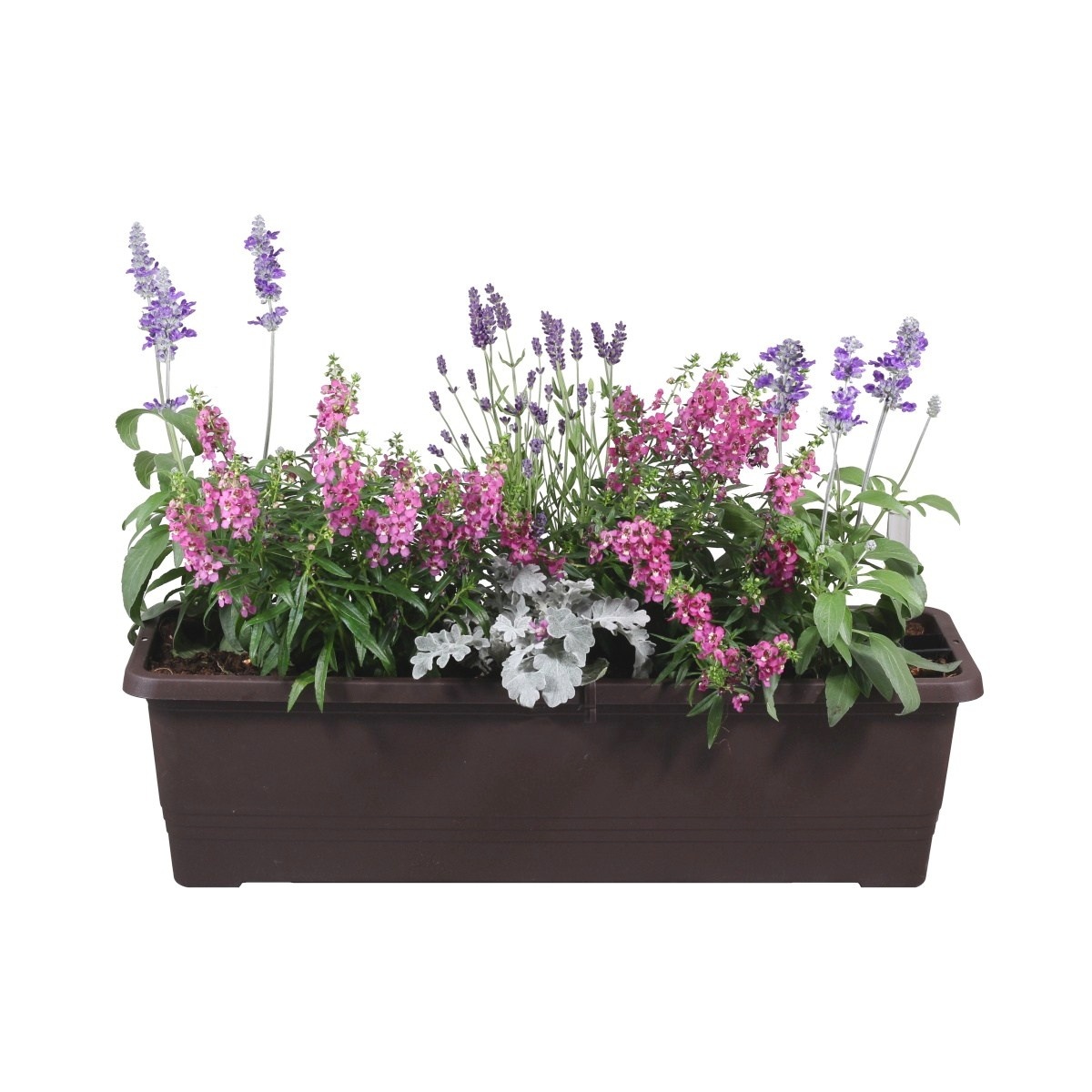 Letní truhlíky - Dotek Provence truhlík 60cm