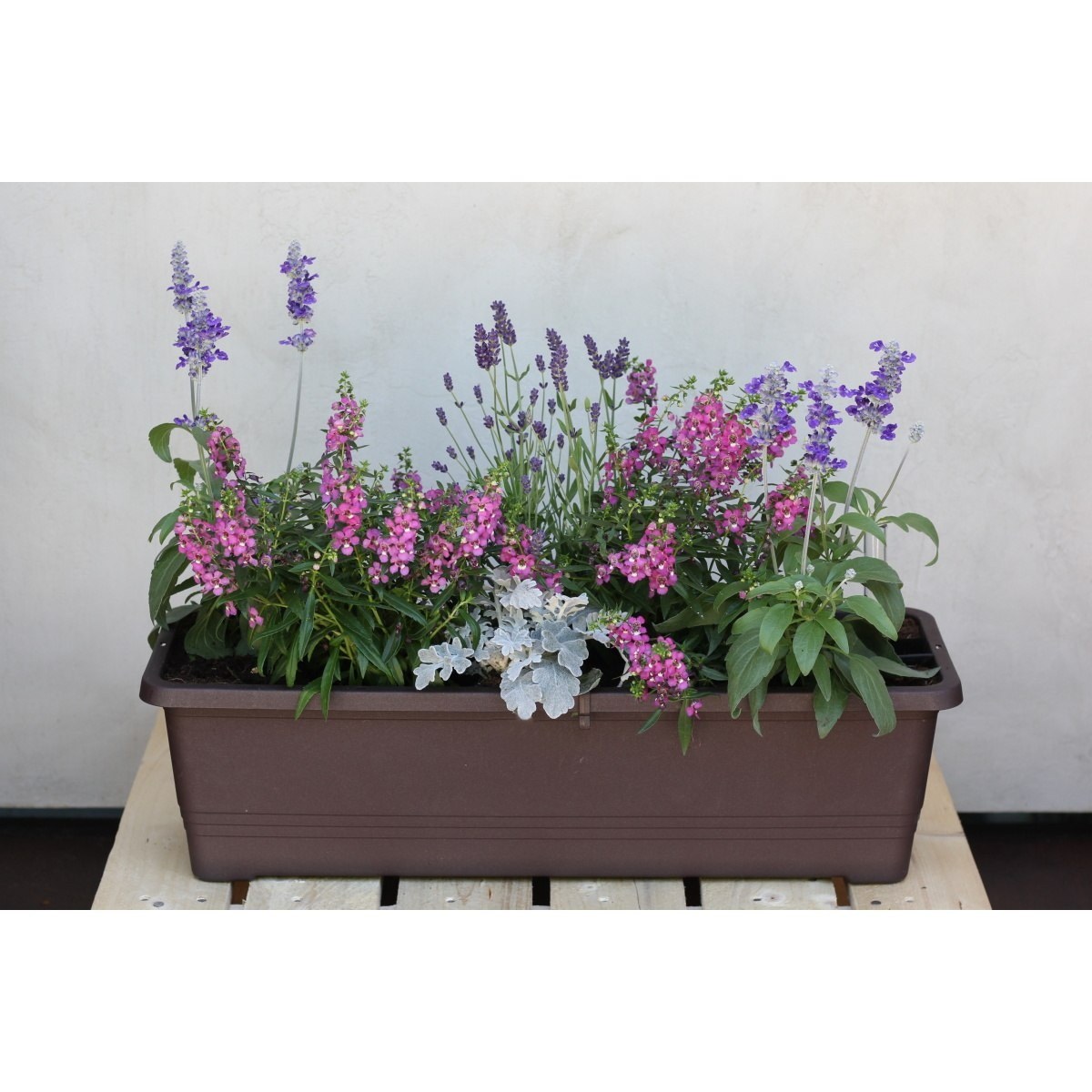 Dotek Provence truhlík 60cm-0