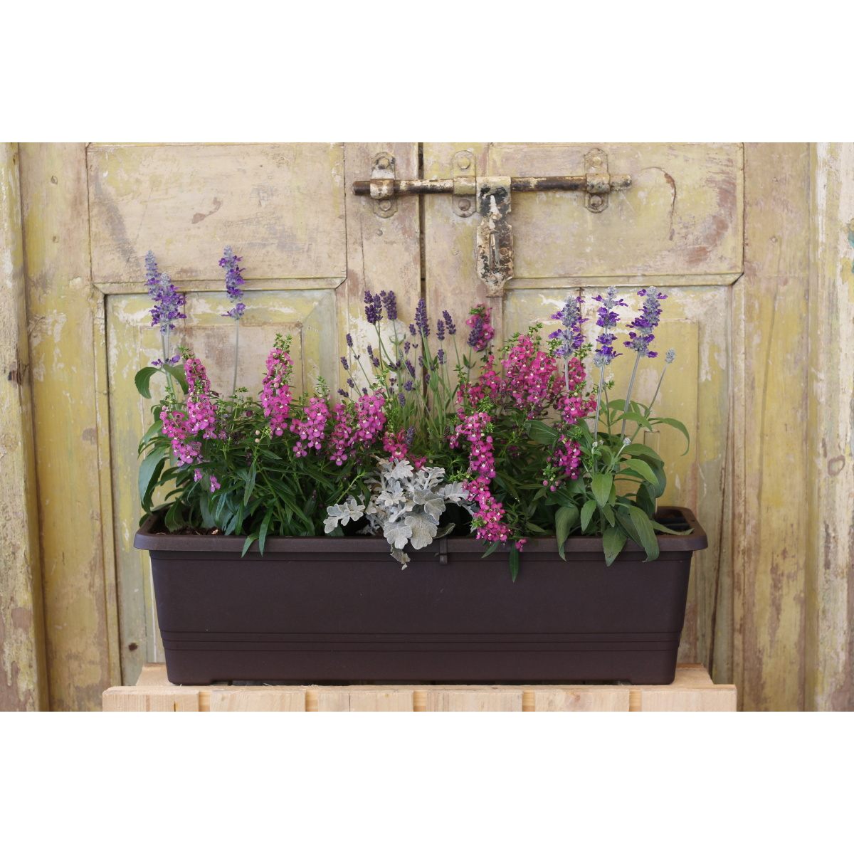 Dotek Provence truhlík 60cm-1