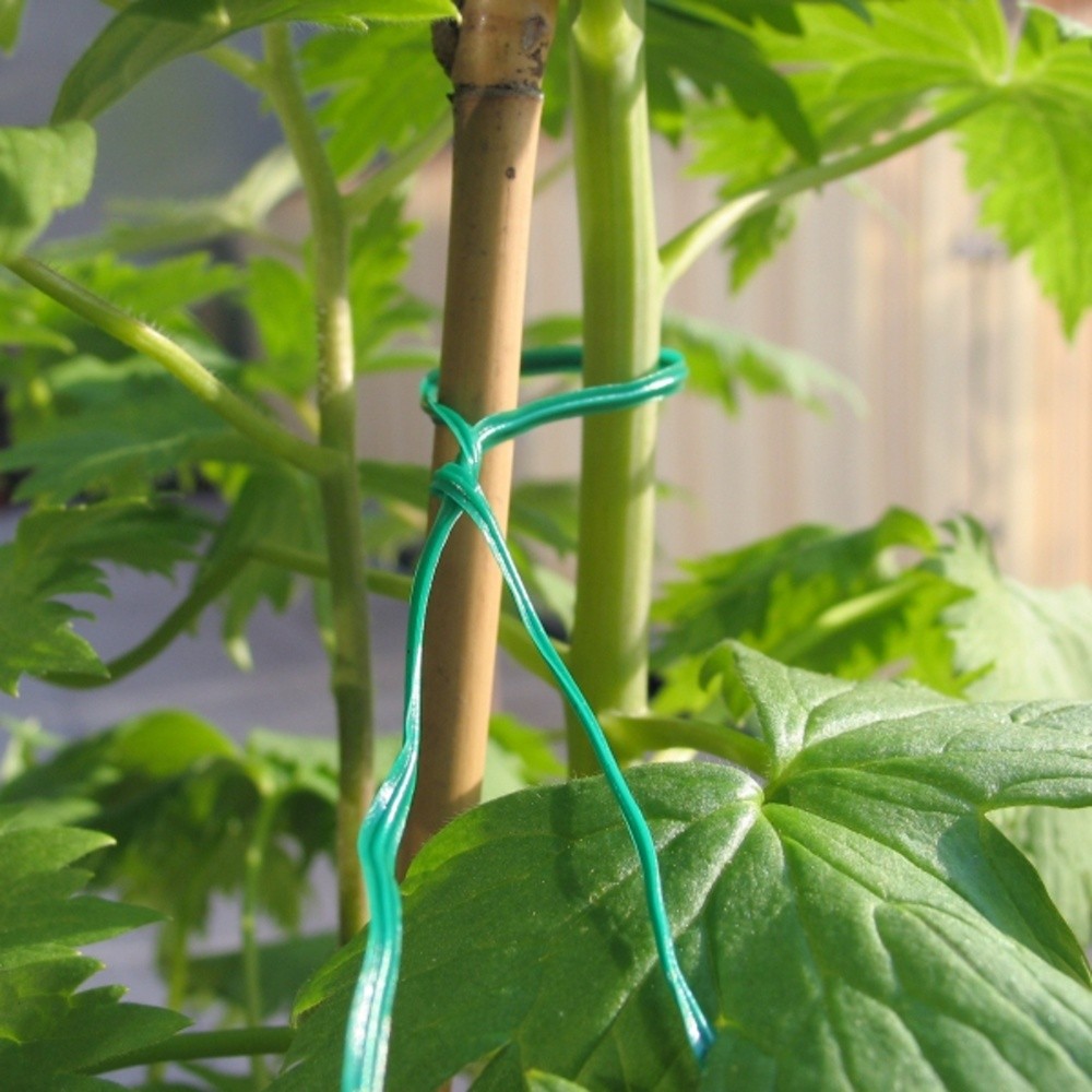 Drát vázací poplastovaný s řezačkou 50cm-0