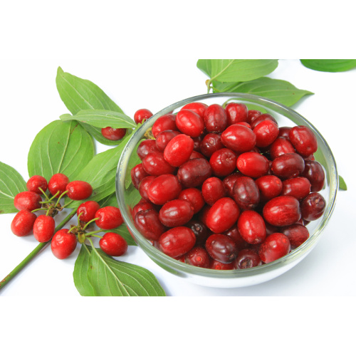 Dřín obecný květináč 5 litrů, keř-0