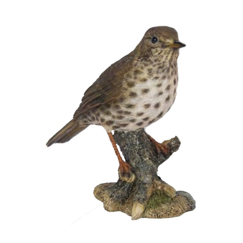 Dekorační figurky zvířat - Drozd zpěvný polyresinový 16cm
