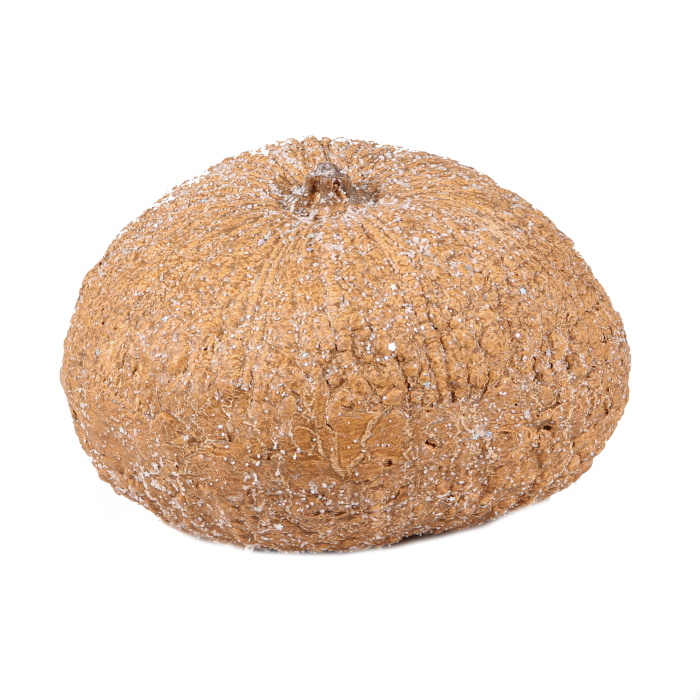 Halloween - Dýně keramická plochá sv.oranžová 21cm