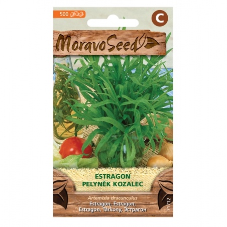 Osivo bylinek - Estragon (MS)