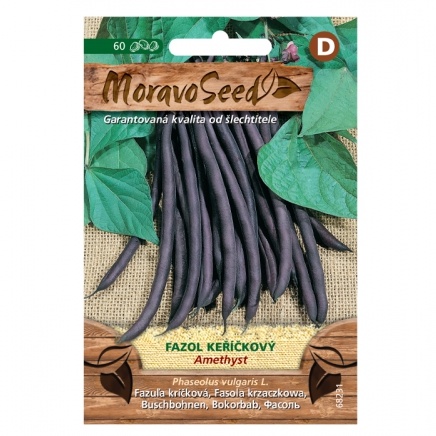 Osivo zeleniny - Fazol keříčkový fialový AMETHYST (MS)