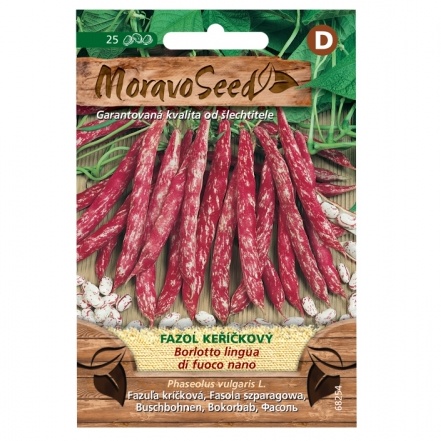 Osivo zeleniny - Fazol keříčkový melír BORLOTTO DI FUOCO NANO (MS)