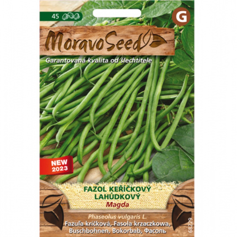 Osivo zeleniny - Fazol keříčkový zelený MAGDA (MS)