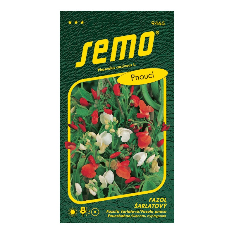 Fazol šarlatový pnoucí červenobílý-0