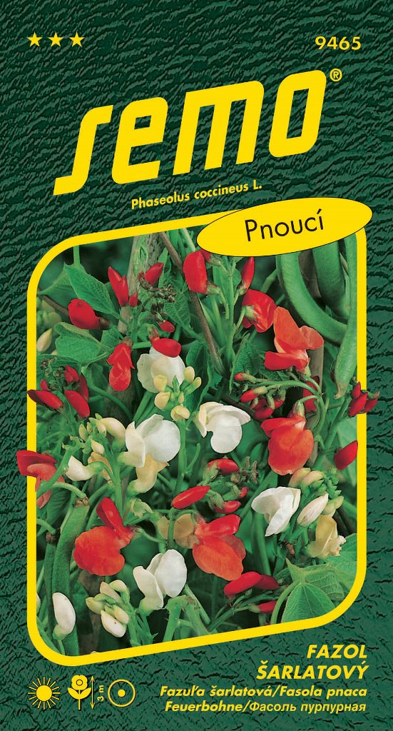 Osivo letniček - Fazol šarlatový pnoucí červenobílý