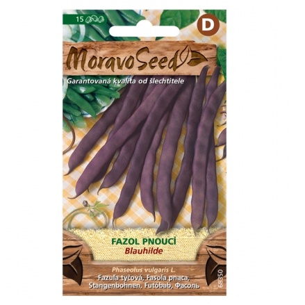 Osivo zeleniny - Fazol tyčkový fialový BLAUHILDE (MS)