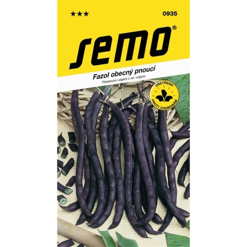 Osivo zeleniny - Fazol tyčkový fialový Purple Podded Climbing