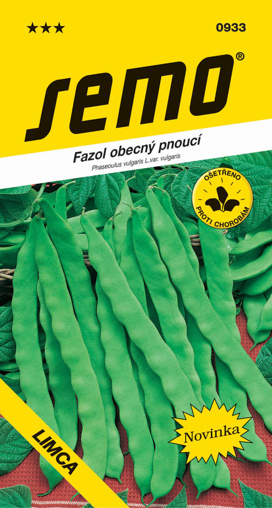 Osivo zeleniny - Fazol tyčkový zelený Supermarconi