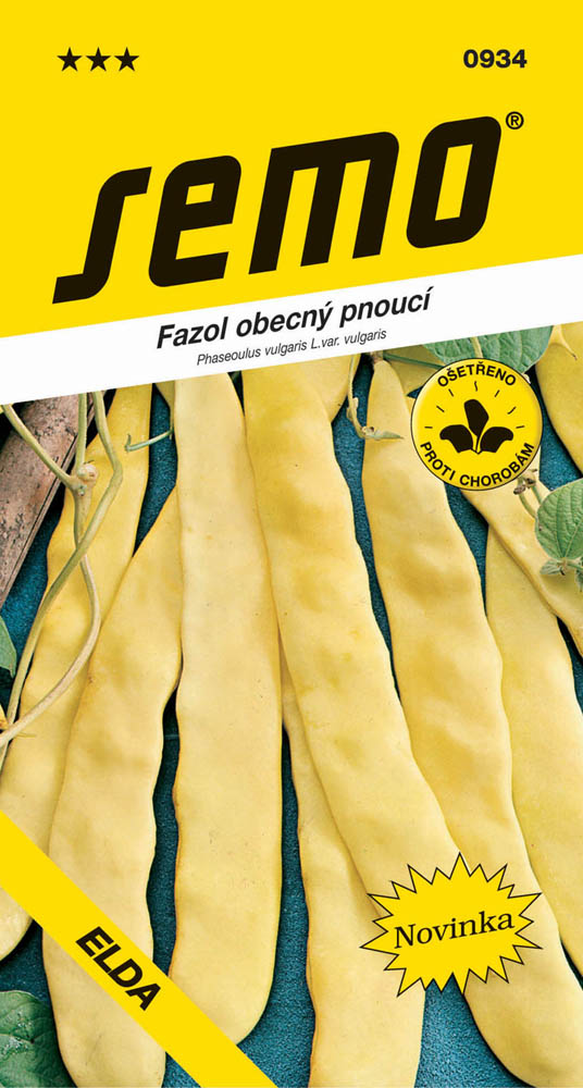 Osivo zeleniny - Fazol tyčkový žlutý Meraviglia di venesia