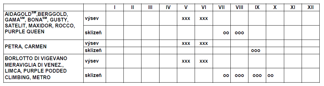 Fazol tyčkový žlutý Meraviglia di venesia-0
