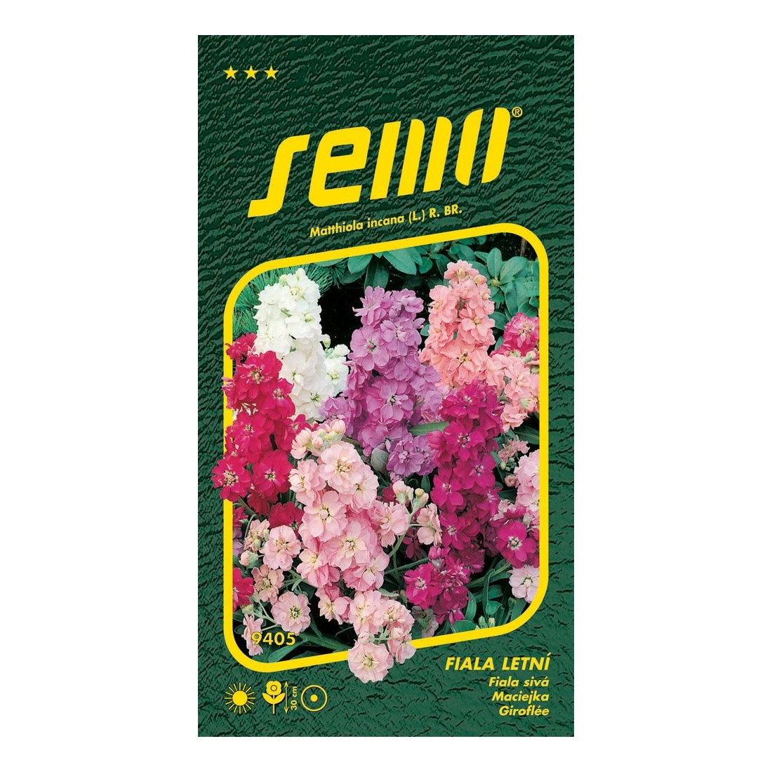 Osivo dvouletek - Fiala letní matiola směs