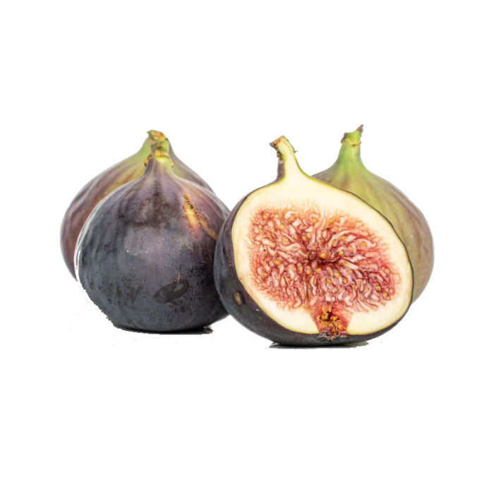 Nádobové květiny - Fíkovník smokvoň 'Little Miss Figgy' květináč 2,5litru