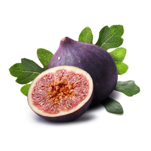 Nádobové květiny - Fíkovník smokvoň 'Violette Dauphine' květináč 5 litrů, čtvrtkmen, stromek