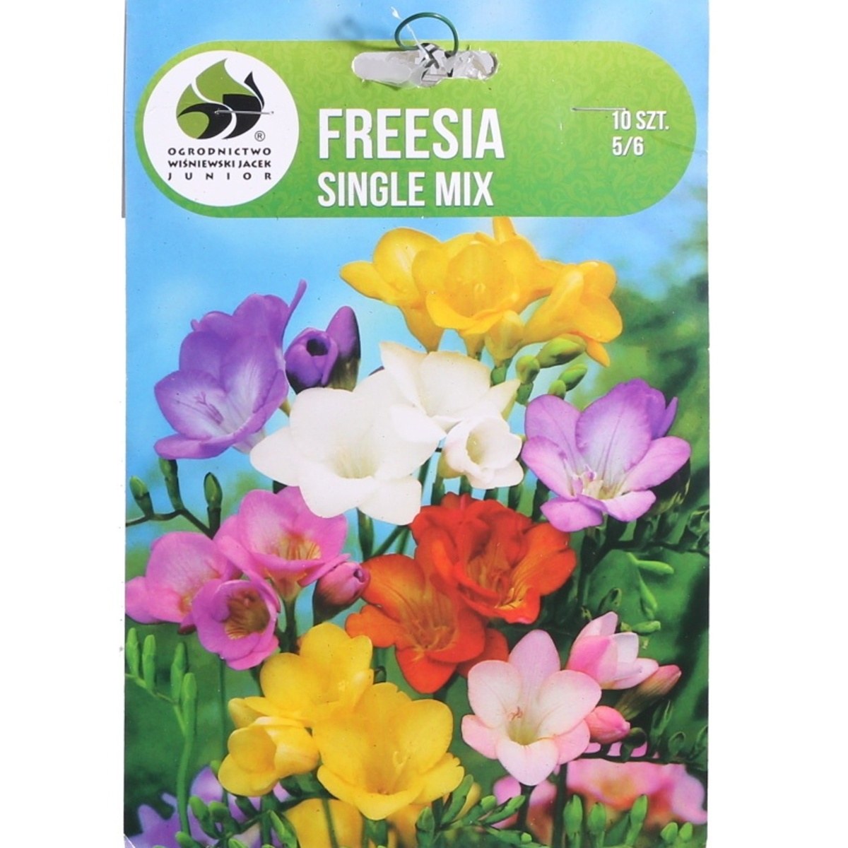 Ostatní jarní cibuloviny - Frésie jednoduchá mix 10ks