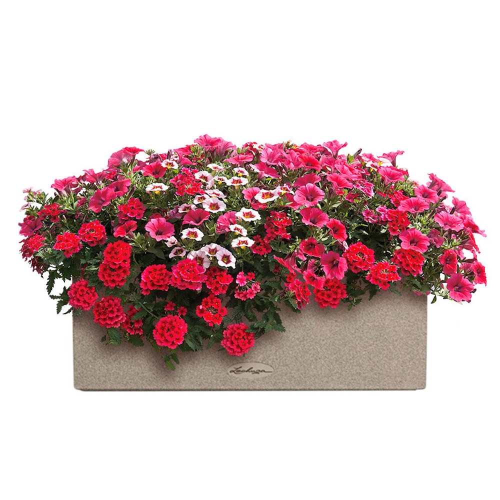 Květinové truhlíky - Fruit Punch Lechuza Stone