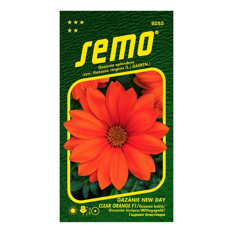 Gazánie zářivá New day clear orange F1-0