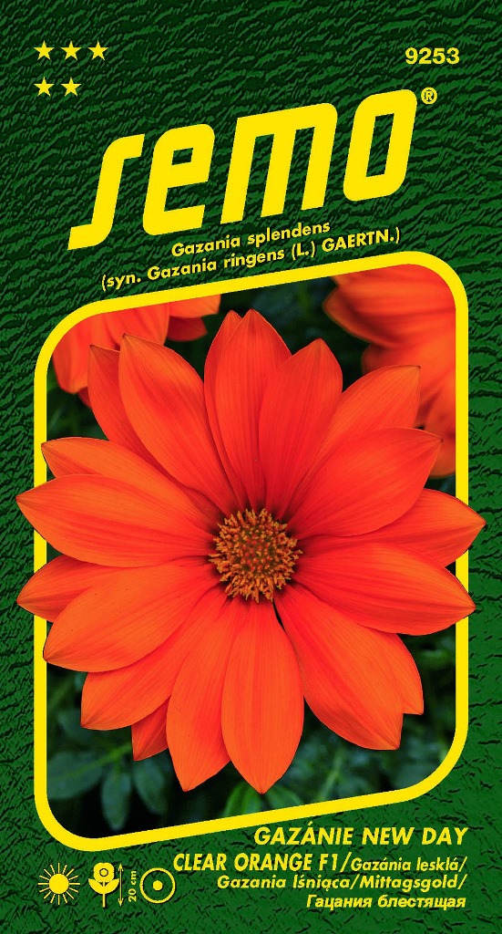 Osivo letniček - Gazánie zářivá New day clear orange F1