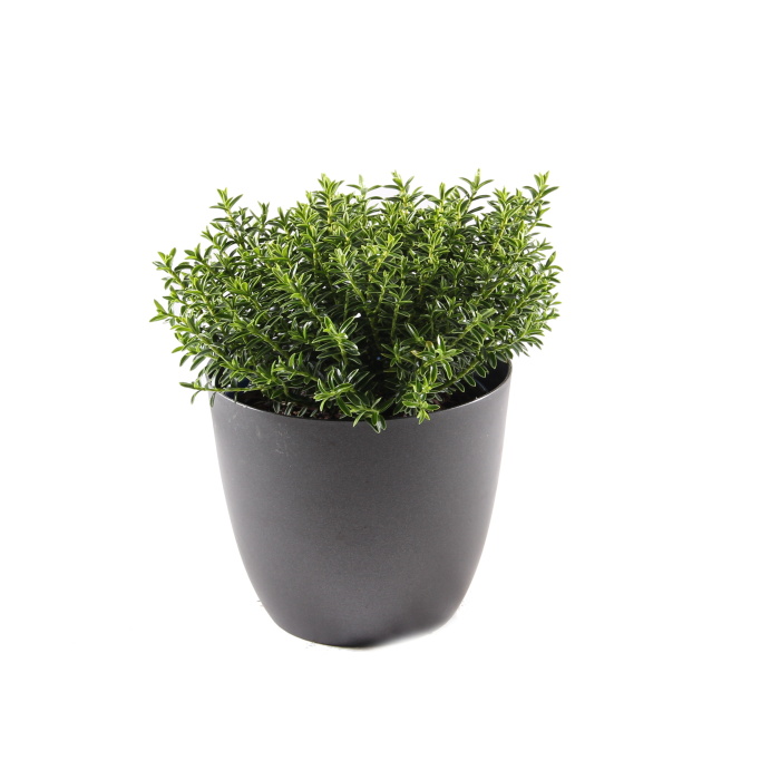 Hebe Green Boys květináč 12cm-2