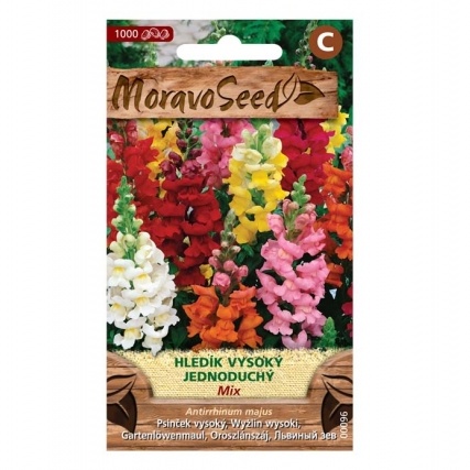 Osivo letniček - Hledík antirrhinum vysoký jednoduchý (MS)